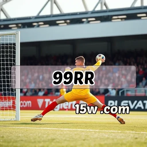 99rr.com Ação